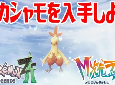 【ポケモンZ-A】ワカシャモを入手しよう 進化入手【Pokémon LEGENDS Z-A M次元ラッシュ】