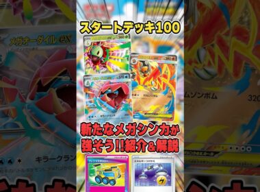 新メガシンカが環境を変える!?スタートデッキ100に収録される新規メガポケモンを解説♪【メガメガニウム/メガオーダイル/メガエンブオー】