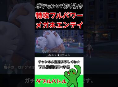ダブル晴れパは特殊型エンテイで決まり！【ポケモンSV】#shorts #ポケモンsv#ダブルバトル #切り抜き