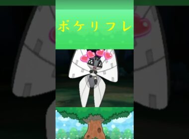 ひょうせつのもよう*ビビヨン*ポケリフレ ポケパルレ#Pokemon #ポケモンsv #nintendoswitch #nintendoswitch2 #pokemonlegendsza
