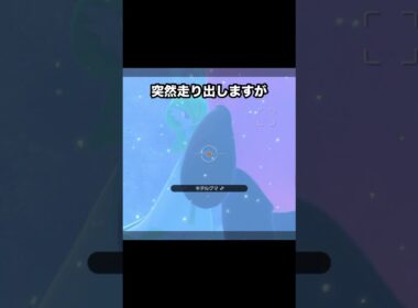 【ストーカー犯罪】サーナイトを追いかけるキテルグマ #ポケモン #newポケモンスナップ