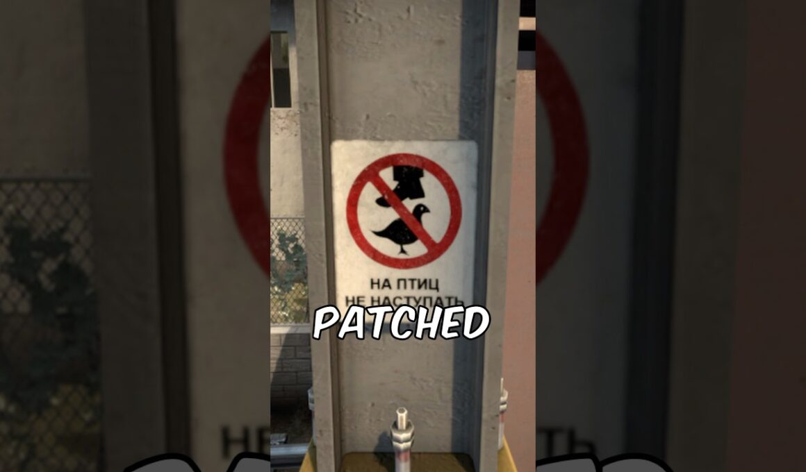 電車の鳩の落書きの真相