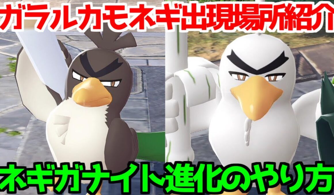 【ポケモンZA】ガラルカモネギ ネギガナイト  出現場所 入手方法 進化方法  攻略 【M次元ラッシュ】【Pokémon LEGENDS ジガルデ ポケモン レジェンズ ジガルデ】