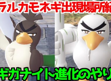 【ポケモンZA】ガラルカモネギ ネギガナイト  出現場所 入手方法 進化方法  攻略 【M次元ラッシュ】【Pokémon LEGENDS ジガルデ ポケモン レジェンズ ジガルデ】