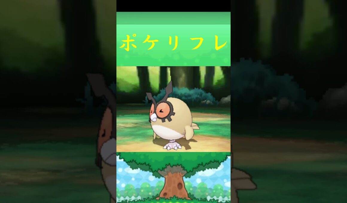 ホーホー*ポケモン ポケリフレ ポケパルレ #ポケモン #Pokemon  #3DS #nintendoswitch #ポケモンsv #ポケモン #キャンプ #サンドイッチ #ピクニック