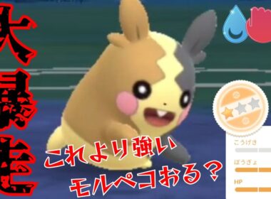 【怪物】神個体モルペコで敵を一網打尽！！いつの時代も突破力No.1だろ！！【GBL】【かけじくカップ】