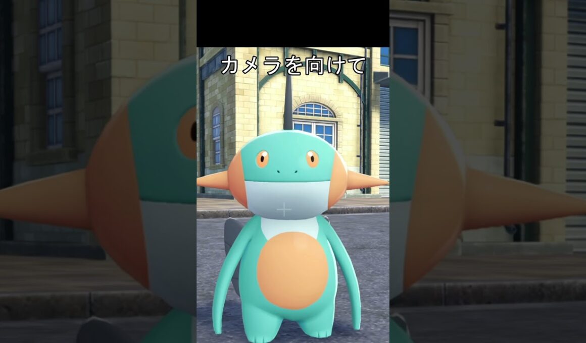 ニコニコ笑う　ヌマクロー #ポケモン #ポケモンza #ポケモンsv #ヌマクロー