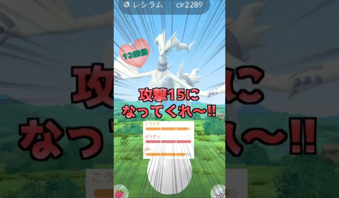 レシラム１４戦♪高個体厳選!!【ポケモンGO】