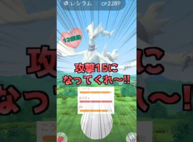 レシラム１４戦♪高個体厳選!!【ポケモンGO】