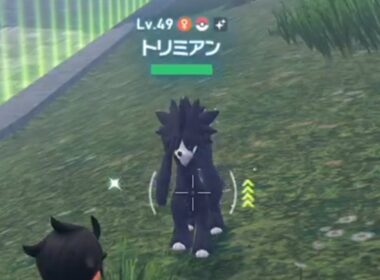 【ポケモンZA】 トリミアン 色違い 全カット用 姿違い用 攻略 #ポケモン #ポケモンZA  #PokemonLegendsZA