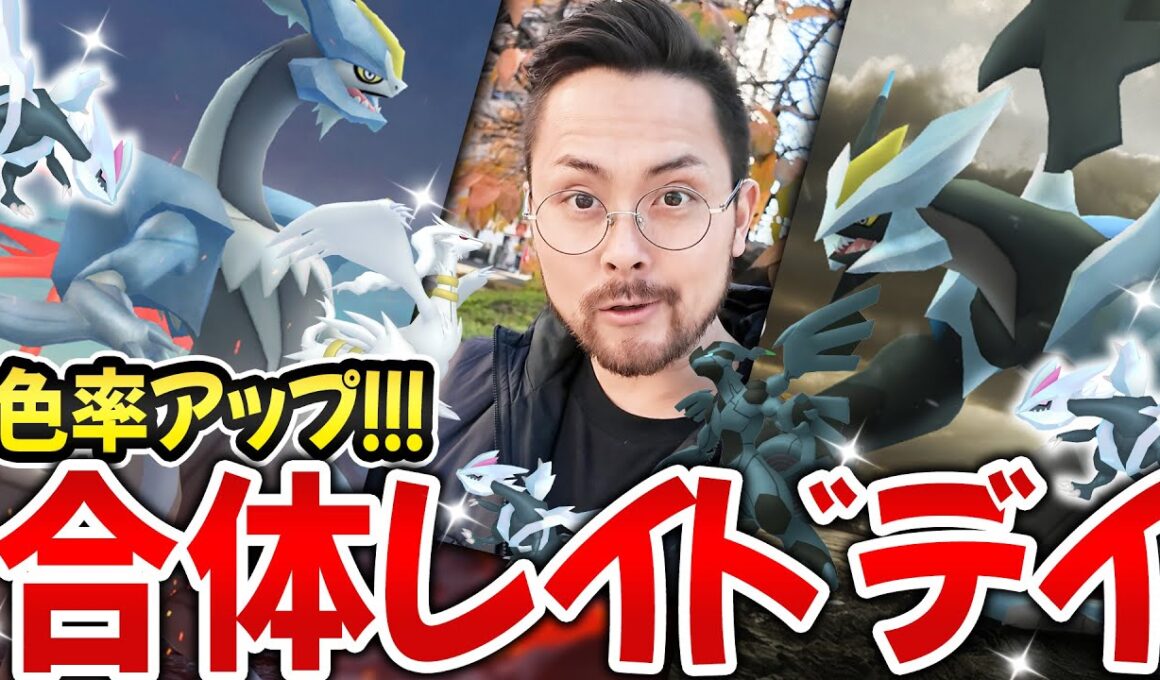 合体レイドデイが超ガチ案件すぎる！！ブラック＆ホワイトキュレム！レシラム＆ゼクロム！色違い率アップを信じて全力だああああ！！そしてヒードランさぁ…【ポケモンGO】