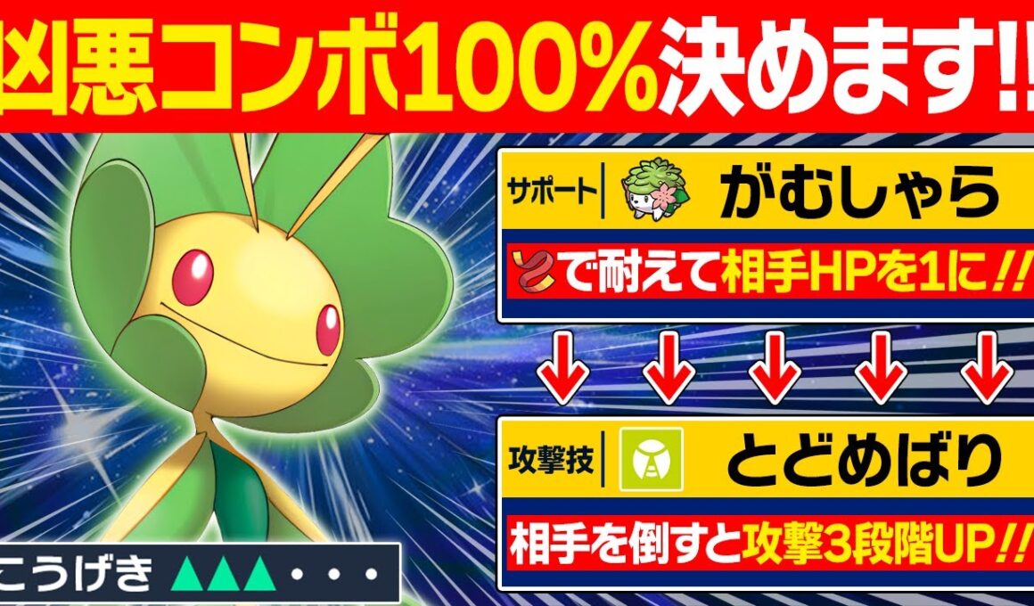 【抽選パ】「とどめばり」が理論上100%成功するハハコモリのコンボがヤバい #56-1【ポケモンSV/ポケモンスカーレットバイオレット】