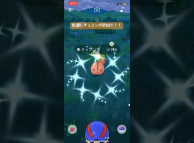 ポケモンGO色違いチェリンボ初GET！！#ポケモン #ポケモンgo #pokemongo