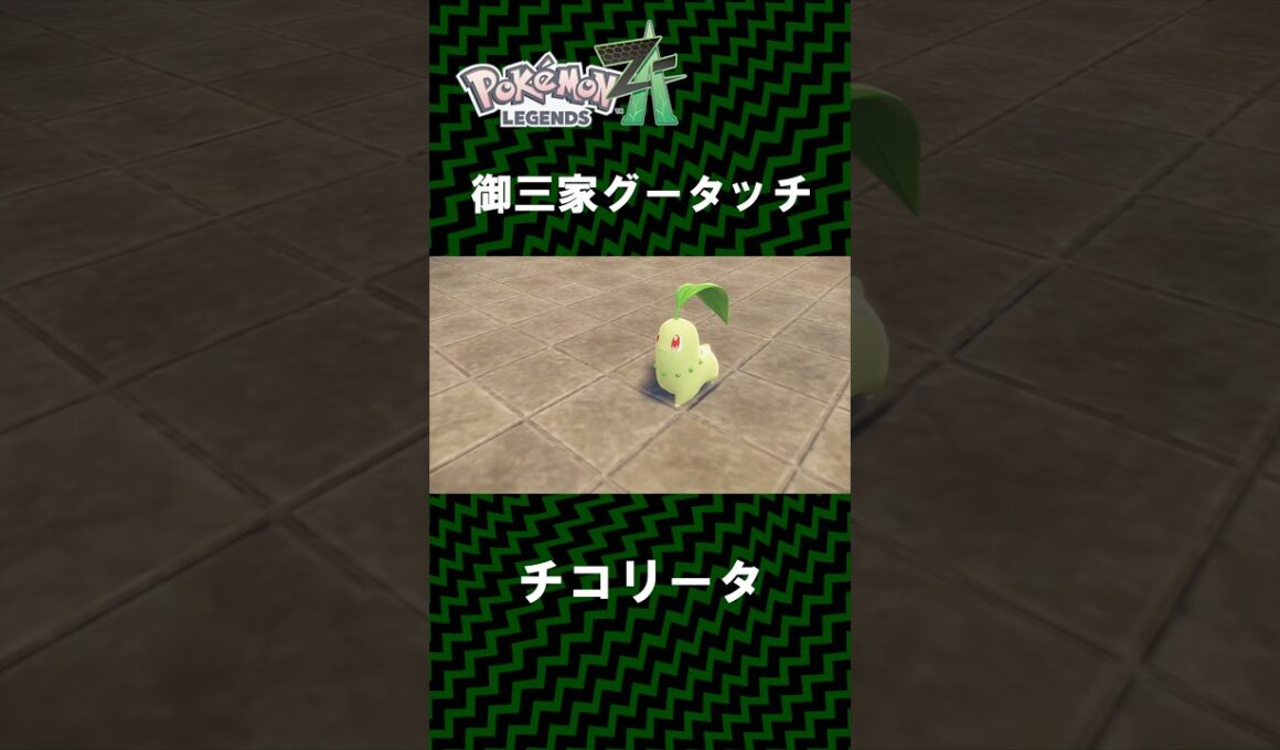 御三家とのグータッチ！！！！！３匹ともくぁわいすぎるぅぅぅチコリータ ポカブ ワニノコ 【 Pokémon LEGENDS Z-A 】2025年10月16日