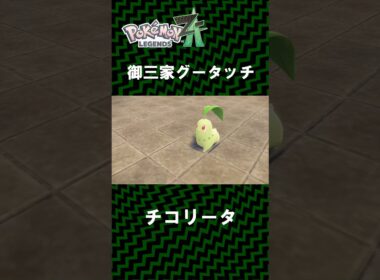 御三家とのグータッチ！！！！！３匹ともくぁわいすぎるぅぅぅチコリータ ポカブ ワニノコ 【 Pokémon LEGENDS Z-A 】2025年10月16日