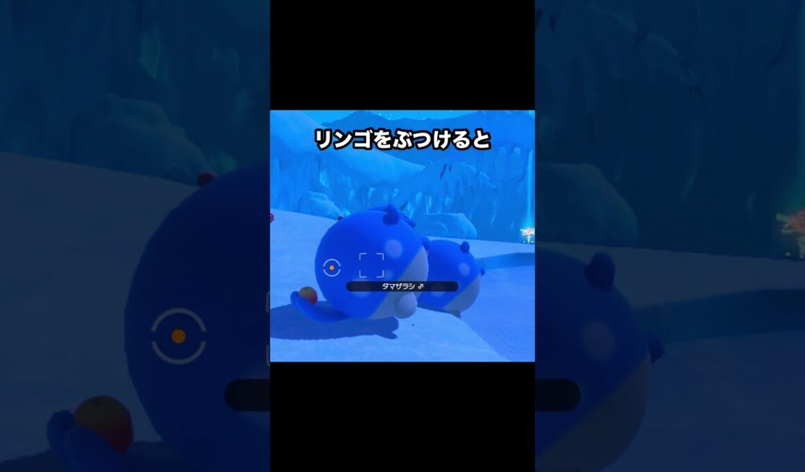 【グレイシア先生】ポッチャマやロコンに授業するグレイシア #ポケモン #newポケモンスナップ