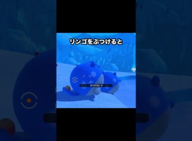 【グレイシア先生】ポッチャマやロコンに授業するグレイシア #ポケモン #newポケモンスナップ