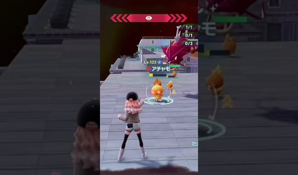 親分アチャモを求めて！あっ #配布 #ポケモン #ポケモンza #pokemon