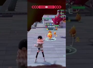 親分アチャモを求めて！あっ #配布 #ポケモン #ポケモンza #pokemon