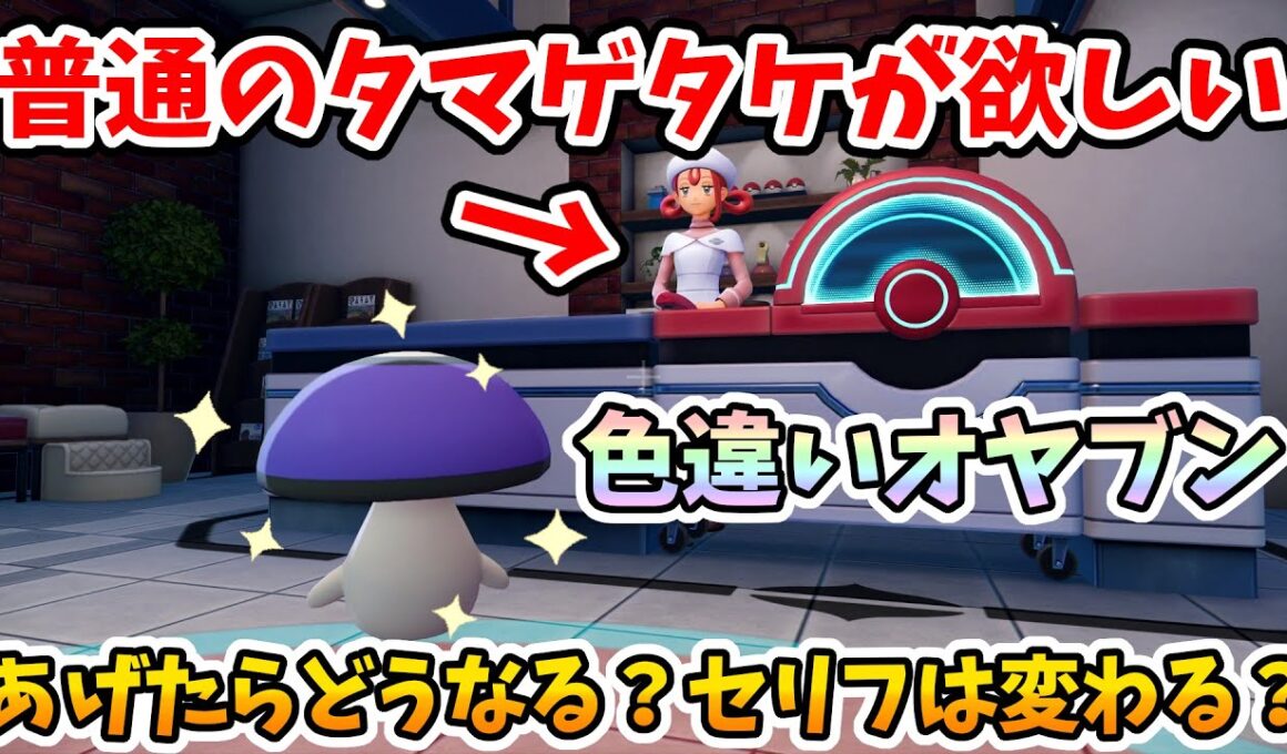 【ポケモンZA】意外な作り込みw普通のタマゲタケが欲しいお姉さんにオヤブン色違いタマゲタケをあげたらどうなる？【Switch2エディション】ポケットモンスターZA Part28