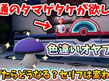 【ポケモンZA】意外な作り込みw普通のタマゲタケが欲しいお姉さんにオヤブン色違いタマゲタケをあげたらどうなる？【Switch2エディション】ポケットモンスターZA Part28