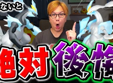 これ逃すと100%後悔します!!!年に1度のブラック&ホワイトキュレム厳選チャンス!!何故やるべきなのか説明します【ポケモンGO】