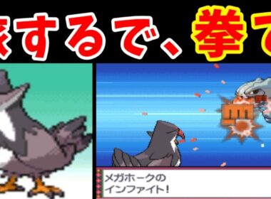 ムクホークのシンオウ旅！インファイトで敵を打ち倒せ！！【ゆっくり実況】【ポケモンPt】