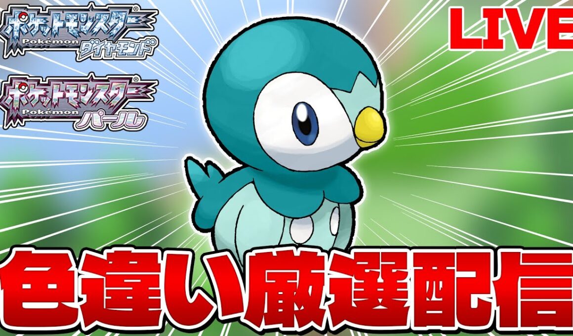 【ポケモンDP】ダイパ色旅の御三家ポッチャマ色違い厳選！  1126～【ダイヤモンド・パール】【生配信】