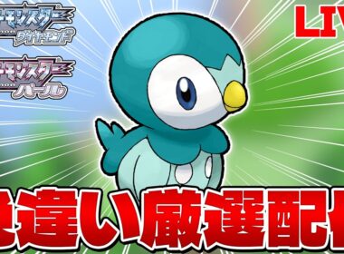 【ポケモンDP】ダイパ色旅の御三家ポッチャマ色違い厳選！  1126～【ダイヤモンド・パール】【生配信】