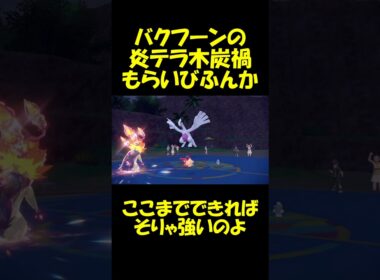 炎テラスタル木炭禍の玉もらい火噴火バクフーン　#バクゾロショート #ポケモン  #ポケモンsv #バクフーン