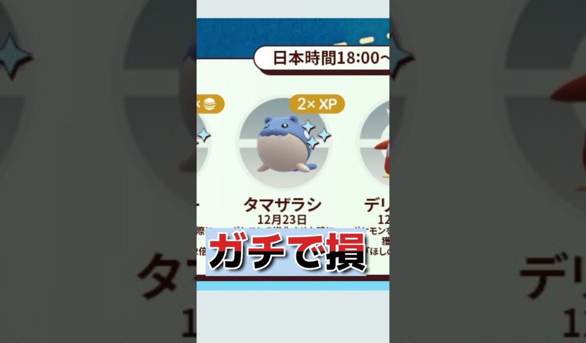 12/23スポットライト：タマザラシ！S25強化でトドゼルガ厳選【スーパー/ハイパー】