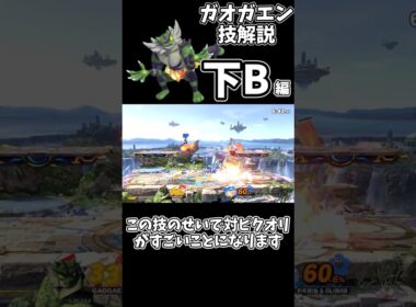 ガオガエン技解説【下B編】#shorts