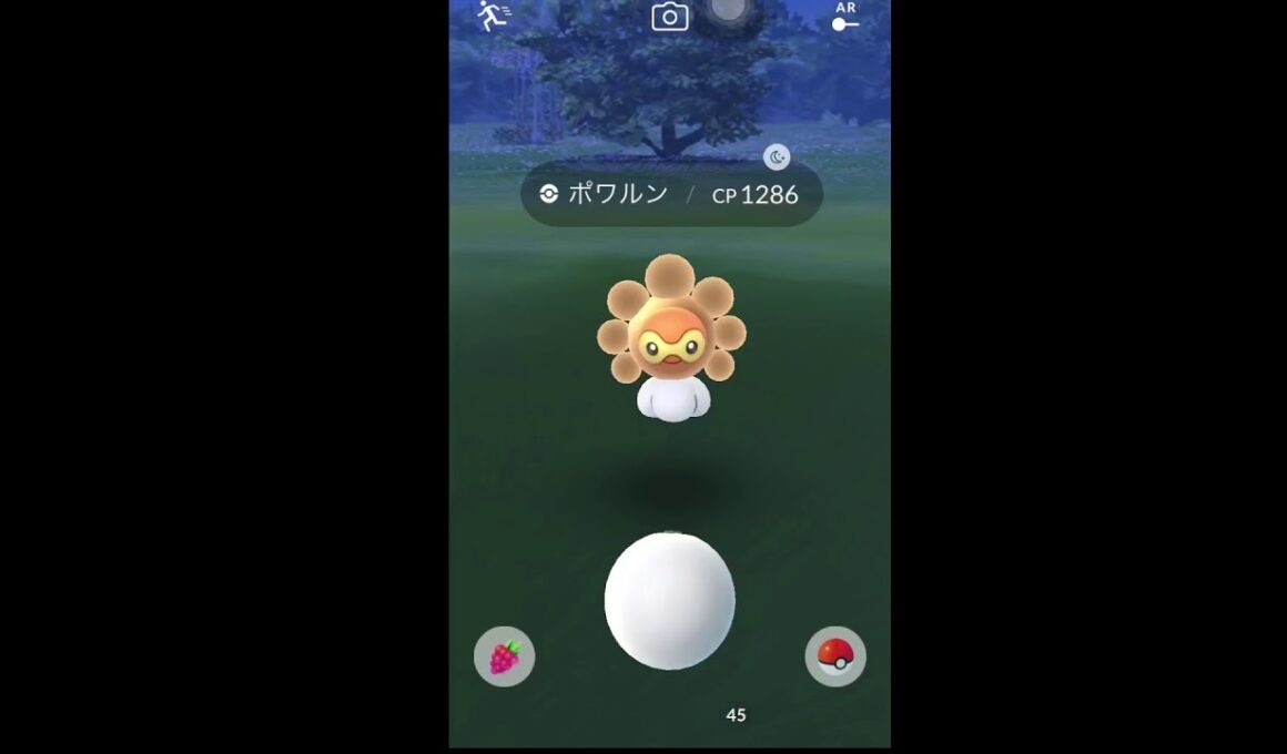 【ポケモンGO】晴天限定ポワルン捕まえた！