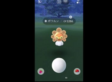 【ポケモンGO】晴天限定ポワルン捕まえた！