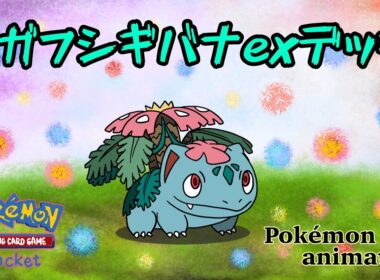 【ポケモンアニメーション】メガフシギバナexデッキ