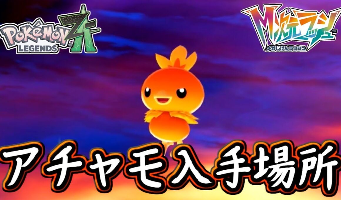 ポケモンZA アチャモ入手場所！バシャーモも出現！出現させるまでが大変？ポケモンレジェンズZA 攻略 【メイルス】