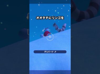 【衝撃展開】デリバードとオオタチのハプニングが辛い #ポケモン #newポケモンスナップ