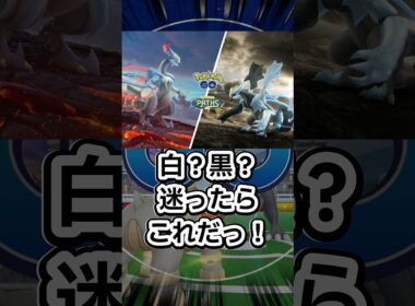 【ポケモンGO🔥】ブラックキュレム、ホワイトキュレムで悩むなら是非見て欲しい #ポケモン #ポケモンgo #shorts