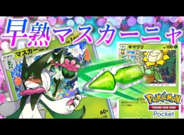 【ポケポケ｜デッキ紹介】キマワリの活用考察 feat. 早熟マスカーニャ/// （Pokémon TCG Pocket）