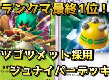 ジュナイパー！スイゲコ対策として人気のデッキ！！