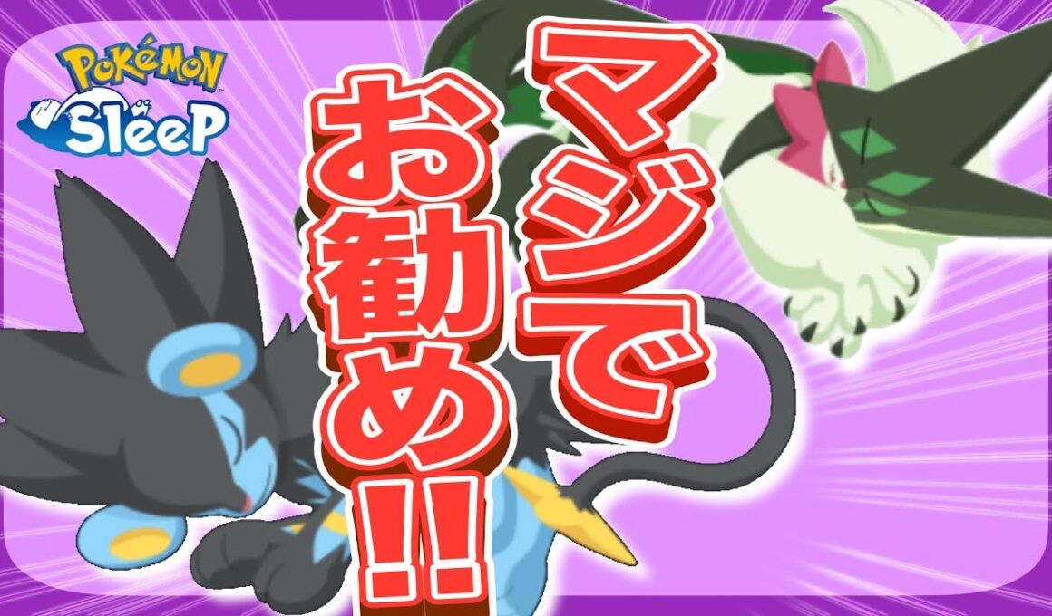 この2体、全力でオススメ！強すぎて2体目が欲しい話【ポケモンスリープ】【レントラー/マスカーニャ】【料理パワーアップS】