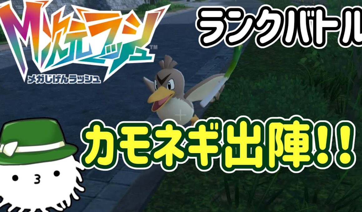 【M次元ラッシュ】カモネギと行くランクバトル！！神の鳥となれるのか？【ZA】