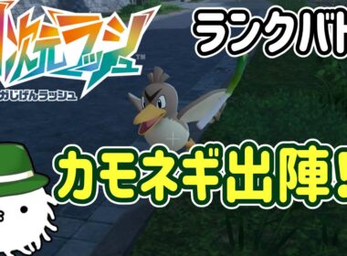 【M次元ラッシュ】カモネギと行くランクバトル！！神の鳥となれるのか？【ZA】