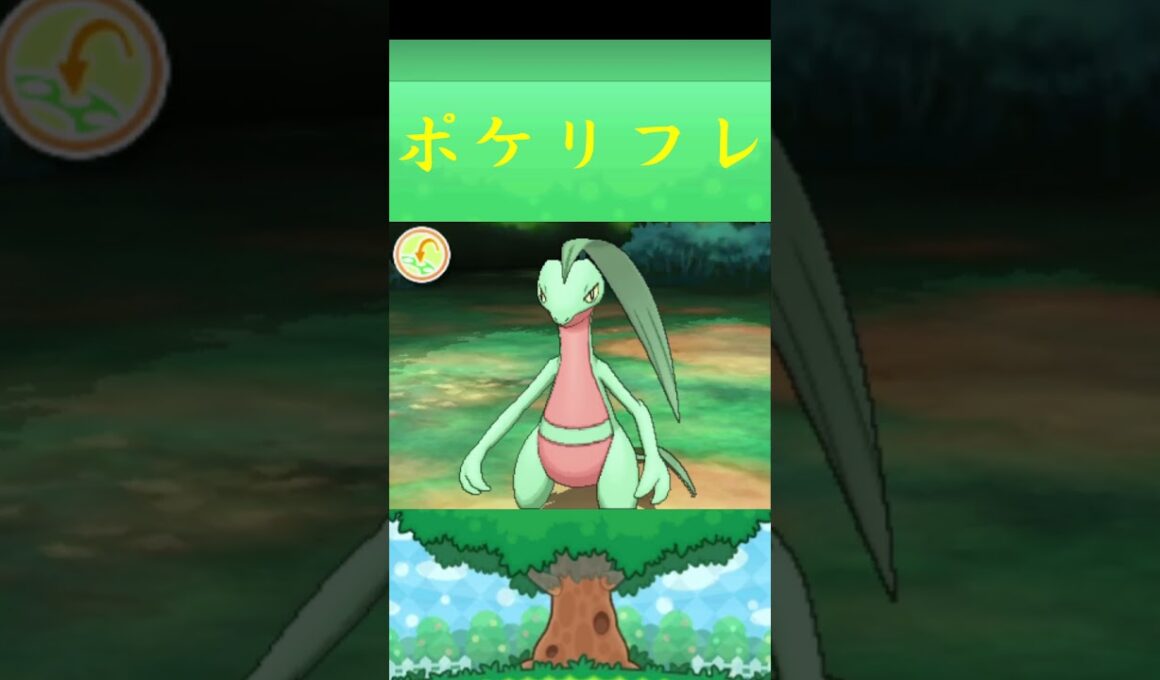 ジュプトル*ポケモン ポケリフレ ポケパルレ #ポケモン #Pokemon  #3DS #nintendoswitch #ポケモンsv #ポケモン #キャンプ #サンドイッチ #ピクニック