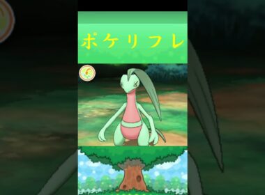 ジュプトル*ポケモン ポケリフレ ポケパルレ #ポケモン #Pokemon  #3DS #nintendoswitch #ポケモンsv #ポケモン #キャンプ #サンドイッチ #ピクニック