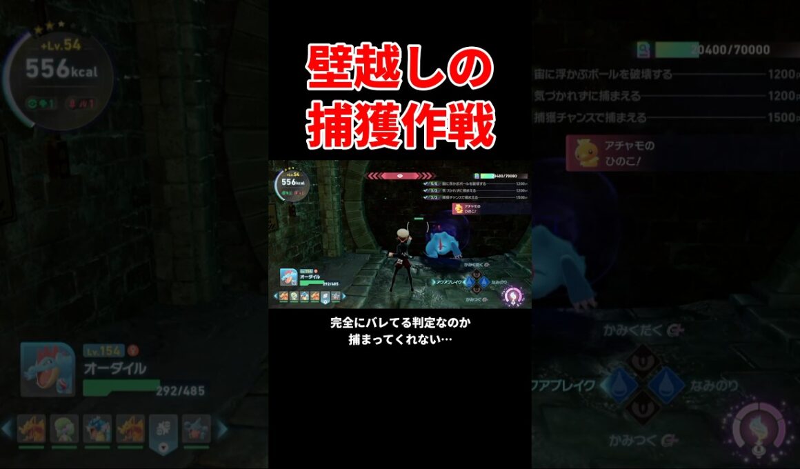 ポケモンZA DLC 壁の向こうにいるアチャモを捕まえたい! ポケモンZA M次元ラッシュ #shorts