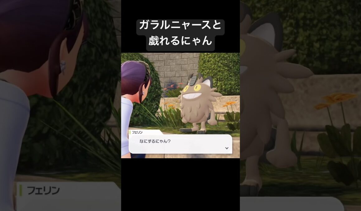 ガラルニャースと戯れるにゃん/ポケモンレジェンズZA #pokemon #ポケモン
