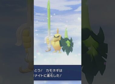 【ポケモンZA】ネギガナイトになるために修行するカモネギ
