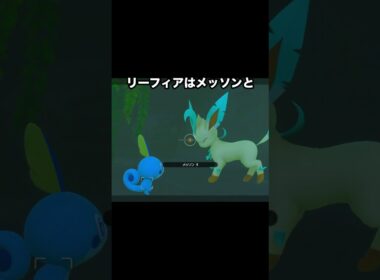 【ブイズの生態】リーフィアとグレイシアの性格の違い #ポケモン #newポケモンスナップ