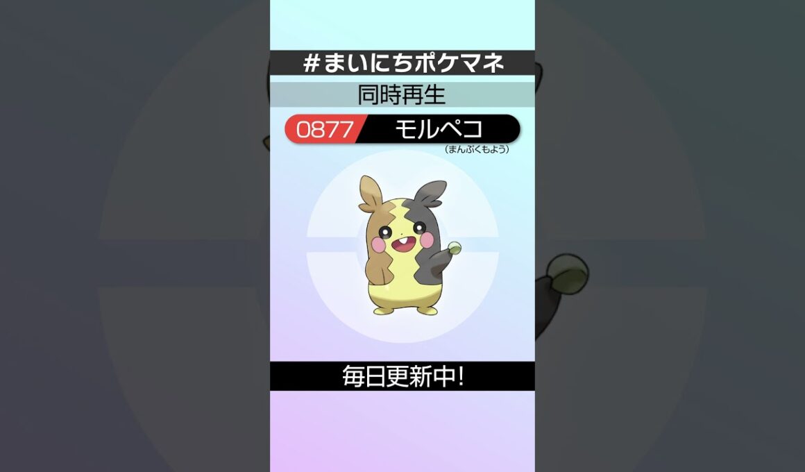 [モルペコ(まんぷくもよう)] 毎日ポケモンの鳴き声モノマネ - 877日目 #まいにちポケマネ #shorts #ポケモン